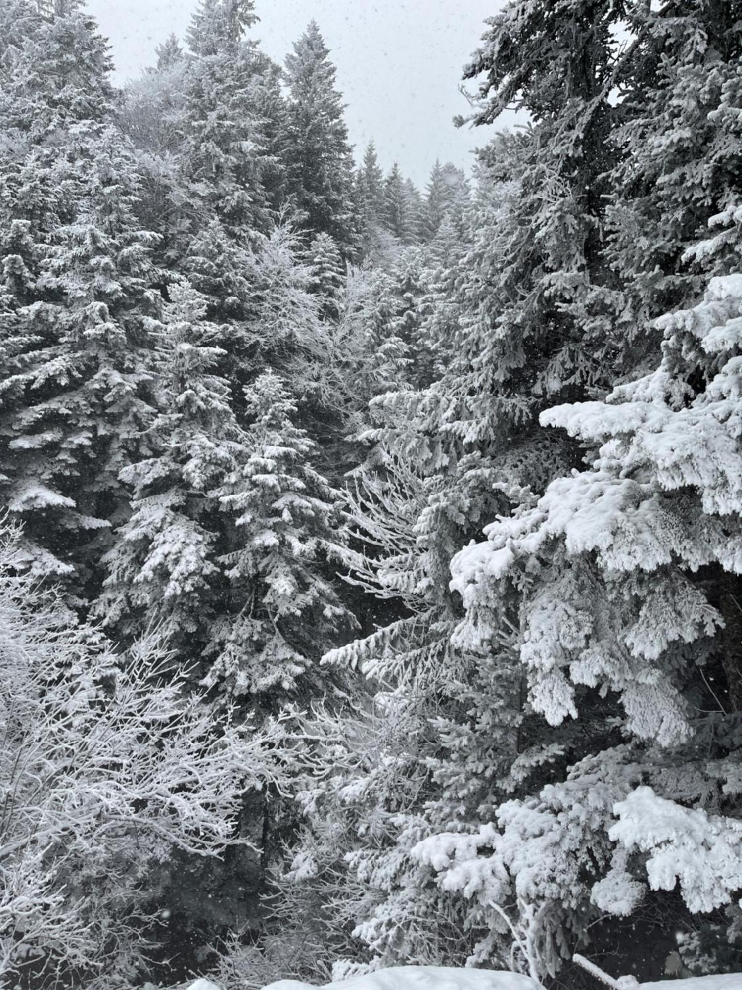 Gite A La Ferme Au Coeur De L'Auvergne Saint-Hippolyte  Exterior foto